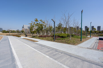 Wall Mural - road in city park