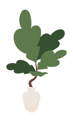 Poster - Plant with big green leaves in pot semi flat color vector object. Full sized item on white. Interior decoration. Indoor plant simple cartoon style illustration for web graphic design and animation