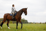 Fototapeta Konie - Beautiful young woman riding a horse on the field. Sideways to the camera. Freedom, joy, movement