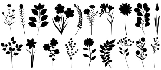 Wall Mural - set of plants silhouette, isolated vector