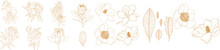 Set Of Graphical Golden Hand Drawn Summer, Spring Flowers. Vector.