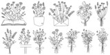 Fototapeta Dinusie - Floral hand drawn compositions. Wildflower bouquets, monogram
