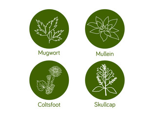 Wall Mural - Smokable Plants and herbs icon set skull cap, mullein, coltsfoot, mugwort, vector illustration