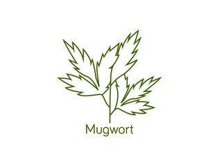 Sticker - mugwort line art icon vector illustration 