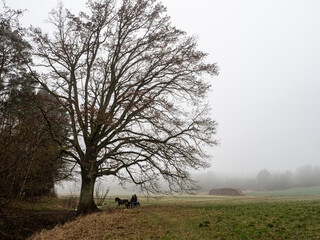 Poster - Landschaft