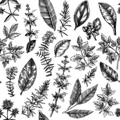 Vector background with typical herbs and spices leaves. Hand-sketched kitchen herbal plants for Italian cuisine seamless pattern. Aromatic food cooking ingredients backdrop. Hand drawn herbs design