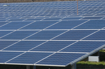 Rows of solar panels