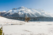 St. Moritz, St. Moritzersee, Stazerwald, Rosatschgruppe, Stazersee, Winter, Wintersport, Winterspazierweg, Eisfläche, Oberengadin, Graubünden, Schweiz