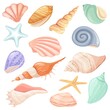 Cartoon seashells and starfish, tropical ocean seashell. Snail, oyster, clam shell, marine mollusk shells, summer beach elements vector set. Underwater wildlife objects isolated on white