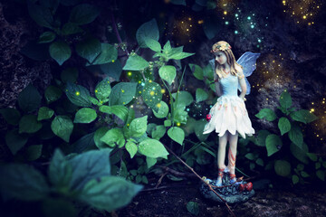 Wall Mural - image of magical little fairy in the forest