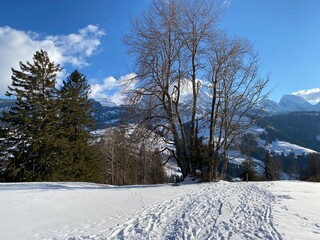 Wonderful winter hiking trails and traces on the slopes of the Alpstein mountain range and in the fresh alpine snow cover of the Swiss Alps - Unterwasser, Switzerland (Schweiz)