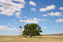 View Of A Trees And A Windmill In Texas Countryside, United States.