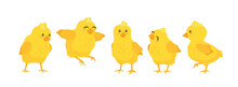 Happy Yellow Chicks Set. Vector Illustration Isolated