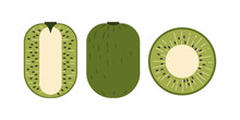 Kiwi Organic Product Cut Lengthwise And Across. Tropical Fruit In Green Color Vector Flat Illustration.