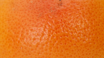 Macro of fresh grapefruit skin ripe detail surface background. orange  peel texture exotic citrus fruit, blurry edges