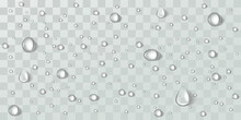 Raindrops, Splashes, Condensation On A Transparent Background. Vector Template. Abstract Wet Texture, Scattered Pure Aqua Blobs Pattern
