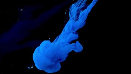 Poster - Beautiful ink underwater on black background. Stock footage. Bright cloud of ink moves in water. Splash and spread of ink in clear water