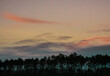 © Kornel - zachód słońca, nad lasem,