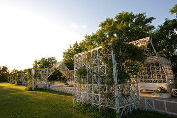 Wall Mural - Wooden pergolas covered with vines at the Pärnu Rannapark in Pärnu, Estonia, on a sunny day at summer.