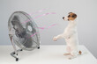 Jack russell terrier dog sits enjoying the cooling breeze from an electric fan on a white background.