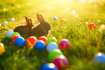 Two little gray rabbits in the grass.