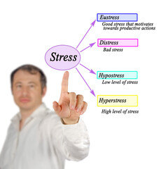 Poster - Presenting four kinds of stress