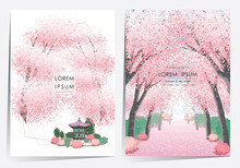Vector Editorial Design Frame Set Of Korean Spring Scenery With Cherry Trees In Full Bloom. Design For Social Media, Party Invitation, Frame Clip Art And Business Advertisement	