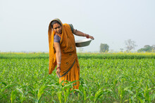 Indian Woman Farmer Working In Agricultural Field