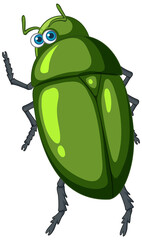 Poster - A green beetle cartoon character isolated