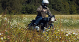 Fototapeta Konie - motorcyclist rides through a beautiful field