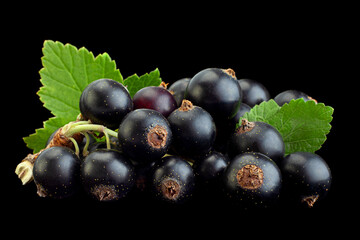 Wall Mural - Black currant berries closeup