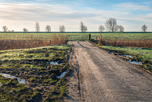 Access Road And Gate In The Foreground Of A Field. In The Background Is A Dike. It Is Winter And The Puddles Of Water Are Frozen. The Photo Was Taken In The Dutch Province Of North Brabant.