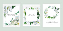 Set Of Three Premade Cards With White Flowers