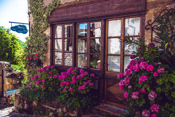 window with flowers