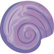 snail shell purple
