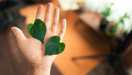 green leaf heart shape in hand