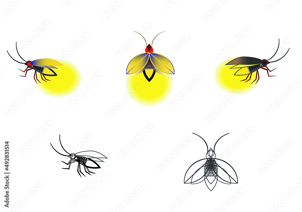 Shining firefly bug glowing on white background.Glowing fireflies on a ...
