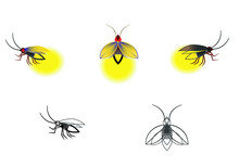 Shining Firefly Bug Glowing On White Background.Glowing Fireflies On A Grass Filed At Night . Enigmatic And Mysterious Illustration With Beautiful Blue Lights In The Night. Firefly Spread Wings.