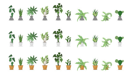 art, background, botanical, cactus, cartoon, collection, color, decoration, decorative, design, different, drawing, element, ficus, flat, flora, floral, flower, flowerpot, foliage, garden, gardening, 