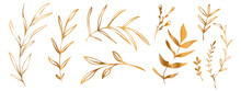 Vector Plants And Grasses In Gold Style With Shiny Effects. Minimalist Style. Hand Drawn Plants. With Leaves And Organic Shapes. For Your Own Design.