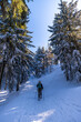 Mann mit Schneeschuh Schneeschuhtour im Winter bei schönem Wetter