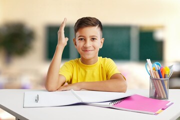 Wall Mural - Distance education. Smiling child studying online at home,