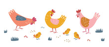 Cute Hens With Chickens In The Meadow. Vector Illustration.