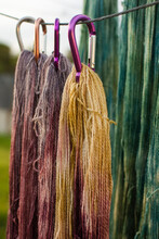 Hand Dyed Yarn Drying In The Sun