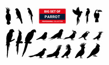 Set Of Parrot Silhouettes.