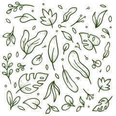 Poster - various set of nature leaf generic vegetation background decoration doodle hand drawn