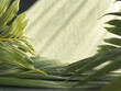 Lent Season,Holy Week and Good Friday concepts - closed up palm leaves in green background. Stock photo.
