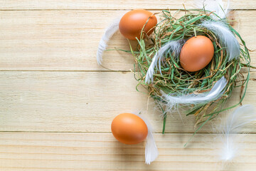 Wall Mural - Easter eggs nature. Natural colour egg in basket with spring tulips, white feathers on wooden table background in Happy Easter decoration. Congratulatory easter design. Flat lay, top view.