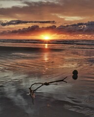 Wall Mural - A coconut along with a tree branch on the beach sand with the sun rising between clouds.