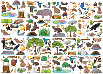 Wall Mural - Different kinds of wild animals collection